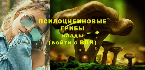 ECSTASY Снежногорск