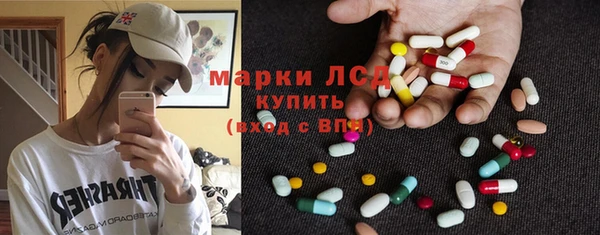 гашик Зеленокумск