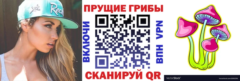 Псилоцибиновые грибы мицелий  Жердевка 